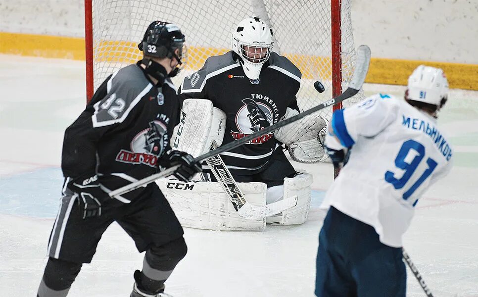 снежные барсы легион. снежные барсы легион. мхл ханты мамонты югры. снежные барсы легион. барс тюмень.