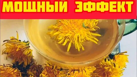 Одуванчик для суставов