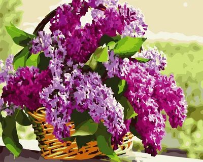 Красивые цветы мая