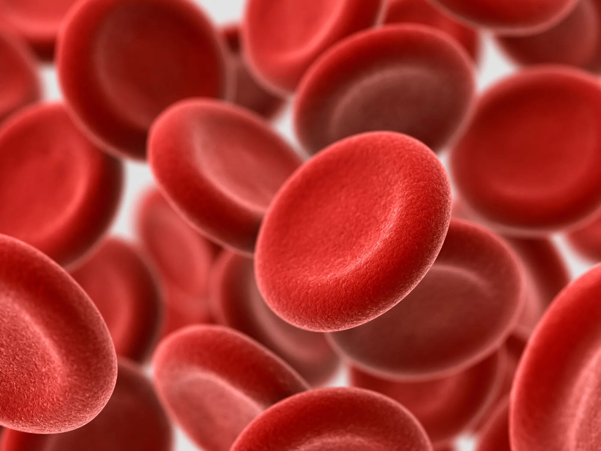 Снижение гемоглобина у мужчин. Жда гемоглобин. Эритроциты. Клетки крови.