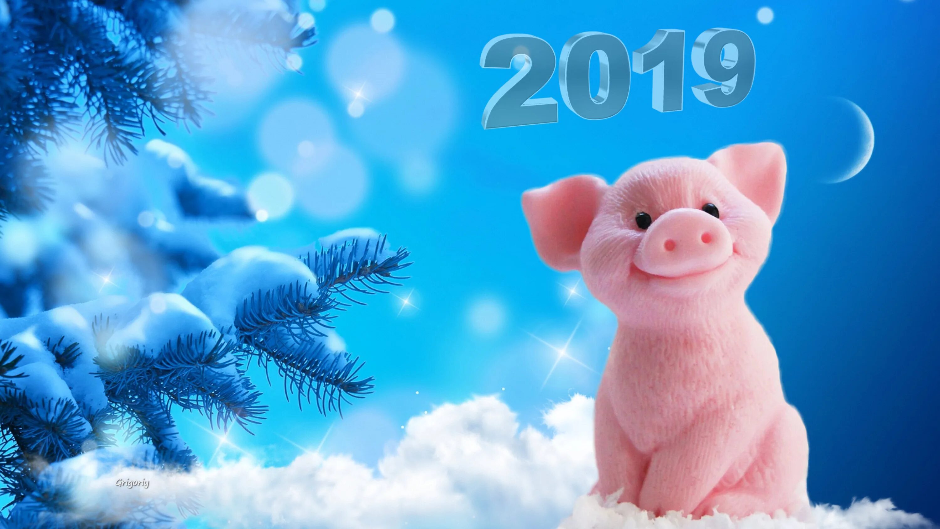 Как называется 2019 год. 2019 год. с новым годом. новогодняя свинка. с новым годом 2019.