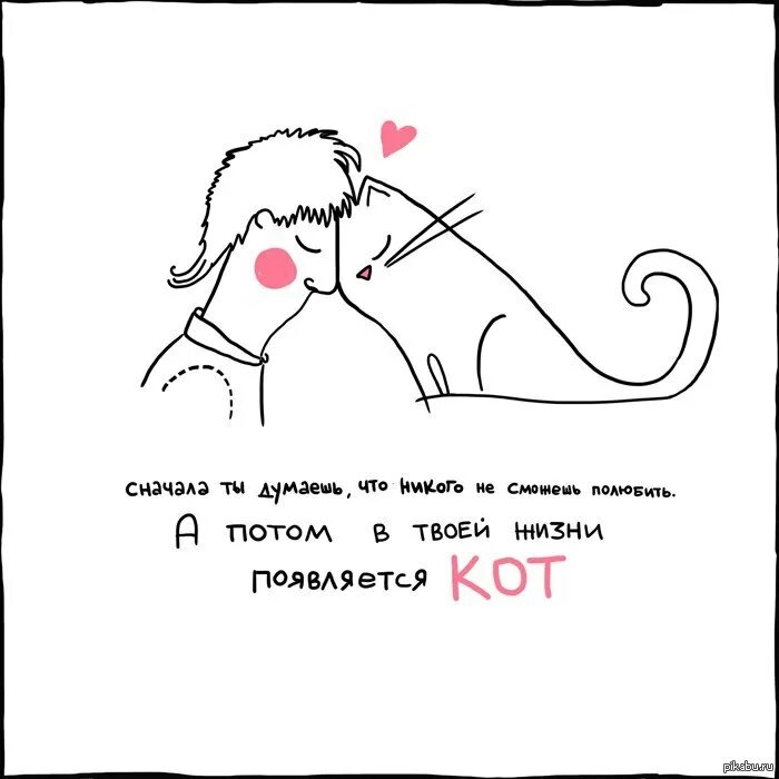 Любовь к котикам цитаты. Прикольные фразы про котов. Цитаты про котов смешные. О чем думает кот. Сколько ни думали