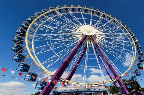Amusement