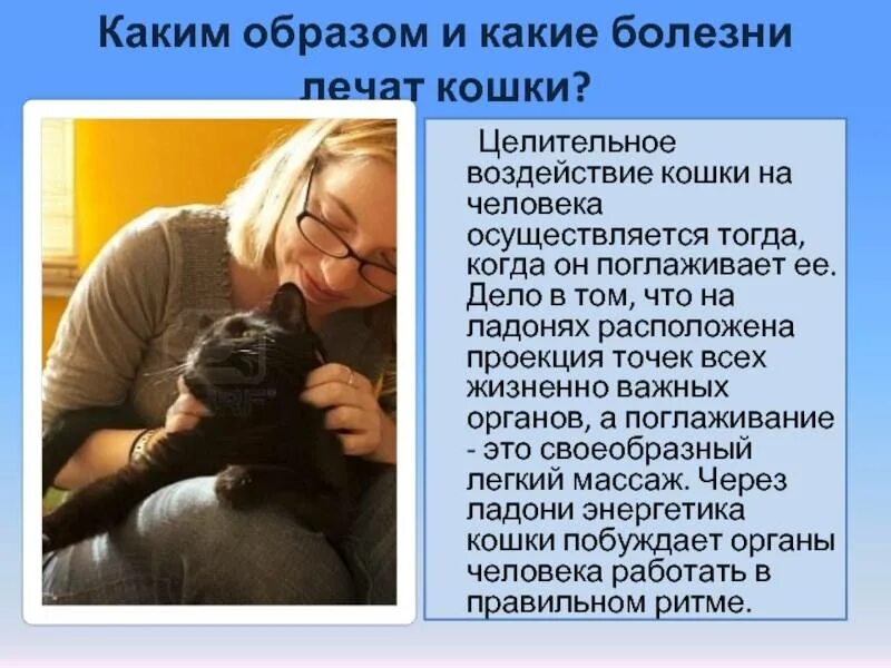 Коты забирают болезни хозяев. Коты забирают болезни хозяев. Может ли кот забрать болезнь хозяина. Кошка лечит человека. Бедный котик.
