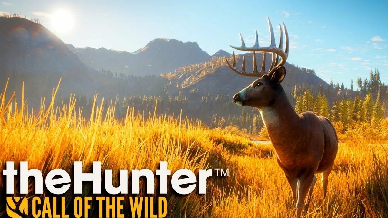 The hunt call. Игра the hunter call of the wild. the hunter call of the wild собака. the hunter call of the wild обложка. the hunter call of the охота.