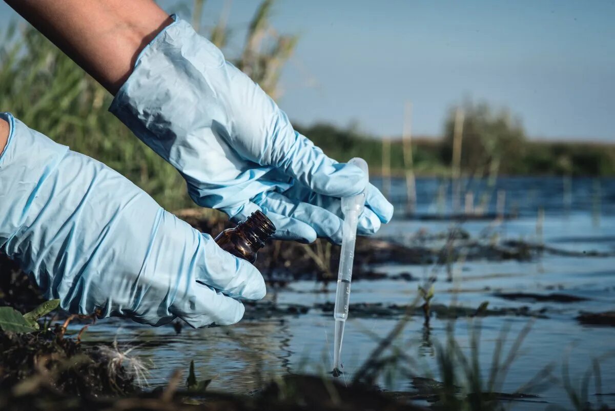 В болоте пресная вода. Загрязнение воды. Загрязнение пресных вод. Вода из реки. Пресная вода.