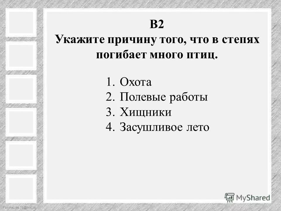 Почему в степях погибает много птиц 4. Птицы в степи летают от ветра. Доклад о растениях и животных степи. Дрофа (otis tarda). Почему в степях погибает много птиц 4.