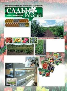 Семена сад интернет магазин