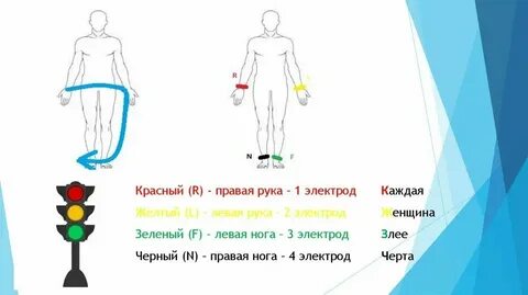 Экг красный желтый зеленый