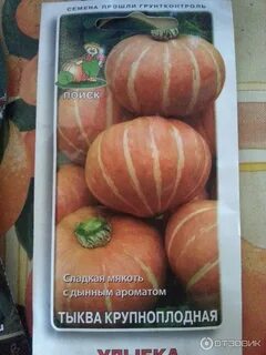 Тыква улыбка описание