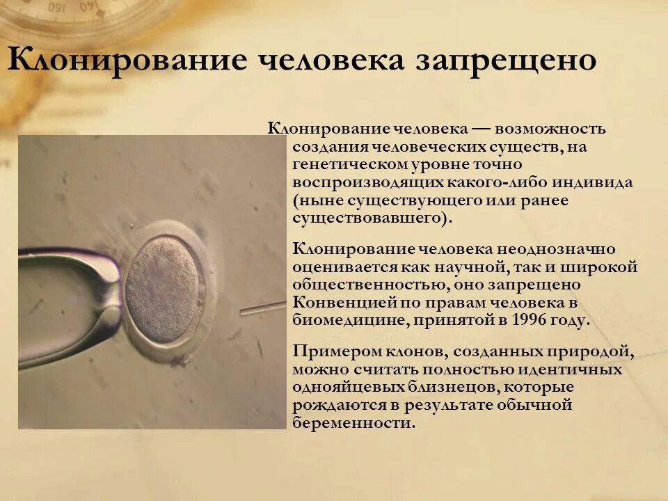 Преимущества клонирования. Клонирование человека запрещено. презентация на тему клонирование человека. клонирование человека способность. плюсы клонирования человека.