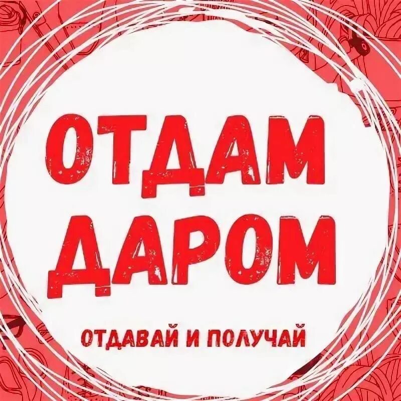 Объявления приму даром. Отдам даром. Группа отдам даром. Отдам даром лого. Отдам даром надпись.