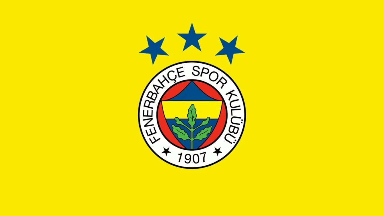 Fb 05 3. ФК Фенербахче. Fenerbahçe без фона. Флаг Фенербахче. Фенербахче брендбук.