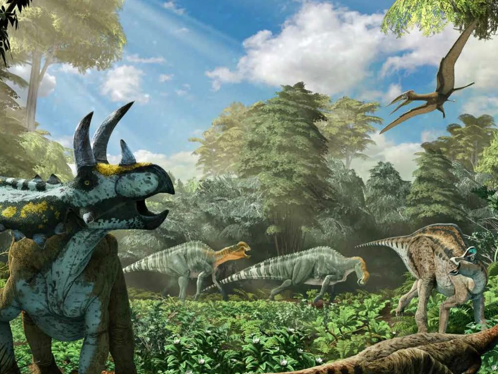 Динозавры путешествие во времени. Динозавры динозавры. Времена динозавров. Динозавры на земле. Растения во времена динозавров.