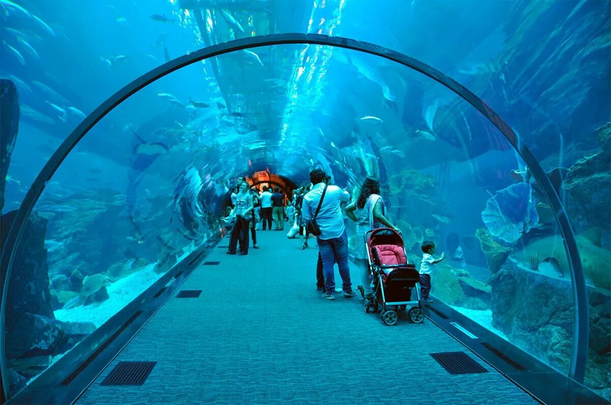 Фонтан в дубай молл дубай оаэ. Куда пойти в дубае. Глобал виладж дубай. Семейная фотосессия в дубае. Dubai mall аквариум.