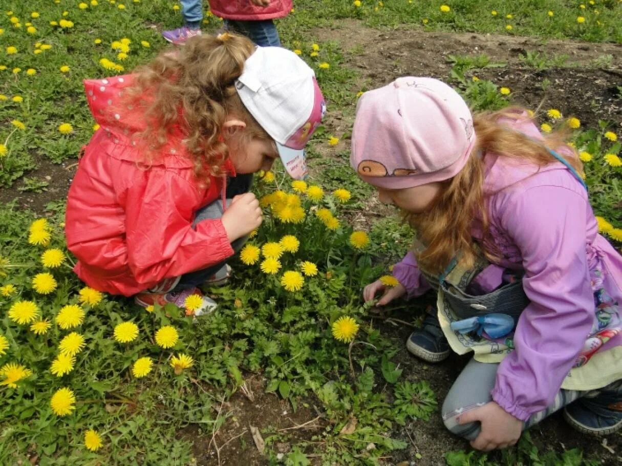 Прогулка в детском саду. Дети на прогулке весной. Дети наблюдают за природой. Наблюдение за природой в детском саду. Весенняя прогулка в детском саду
