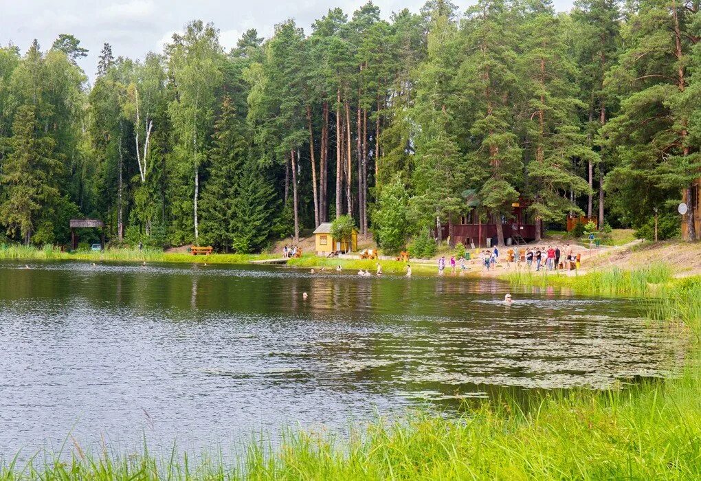 Парк отель Покровское Одинцовский район. Покровское дом отдыха Одинцовский район. Царский лес Одинцовский район. Царский лес парк отель Покровское.