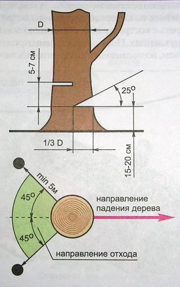 Направить в нужном направлении. Схема Валки деревьев. Валка деревьев в нужном направлении. Правильный подпил дерева. Как правильно спилить дерево бензопилой.