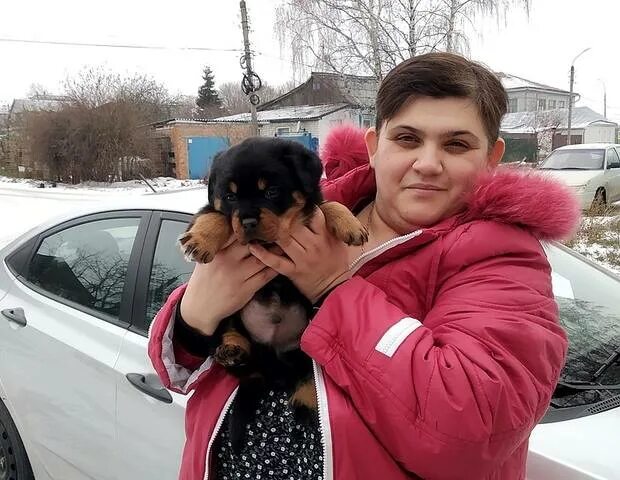 питомник аглицкий сад. аглицкий сад. питомник аглицкий сад. москвичка собака. питомник аглицкий сад.