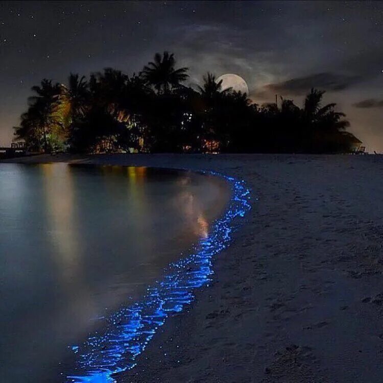 Glowing beach