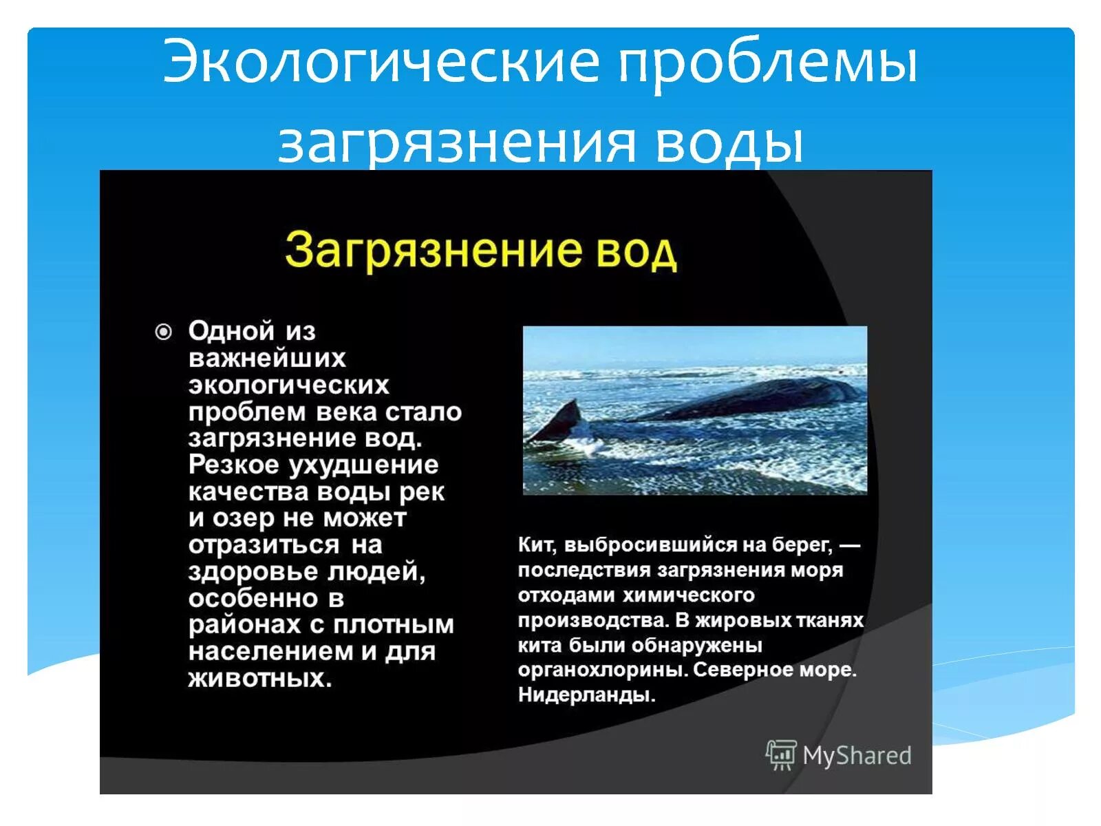 Проблема загрязнения в россии. Проблемы экологии воды. Проблемы экологии связанные с водой. Проблема загрязнения воды кратко. Экологические проблемы пресных вод.