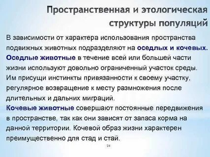 Пространственная структура популяции