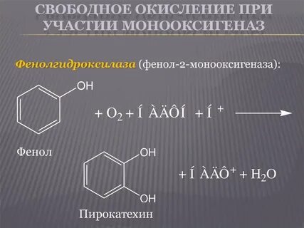 Свободное окисление
