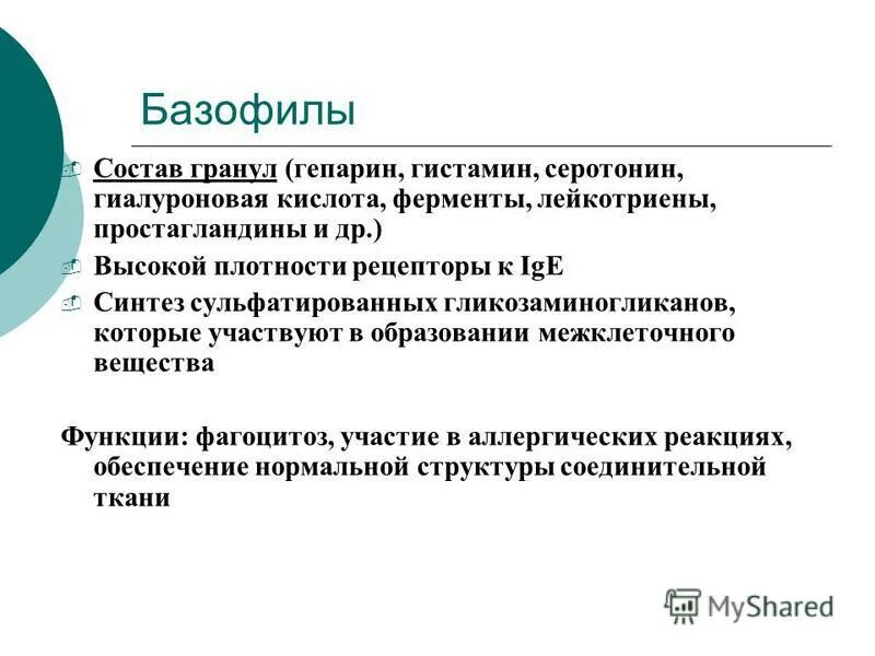 Состав базофилов. Функции базофилов. Функции базофилов в крови. Роль базофилов. Гистамин и гепарин