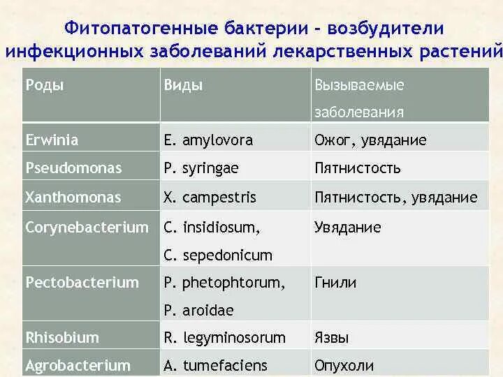 Специфический возбудитель инфекционного заболевания