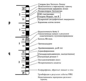 Хромосомная карта