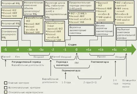 Старение репродуктивной системы
