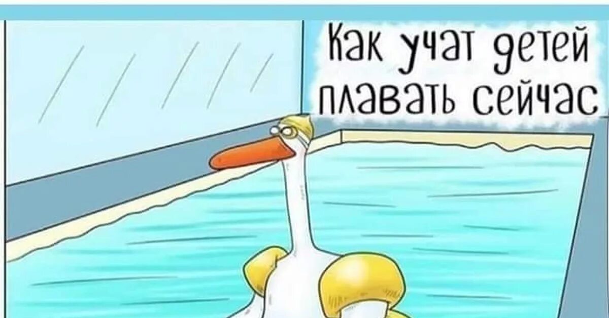 Учить плавать взрослым. Учить плавать взрослым