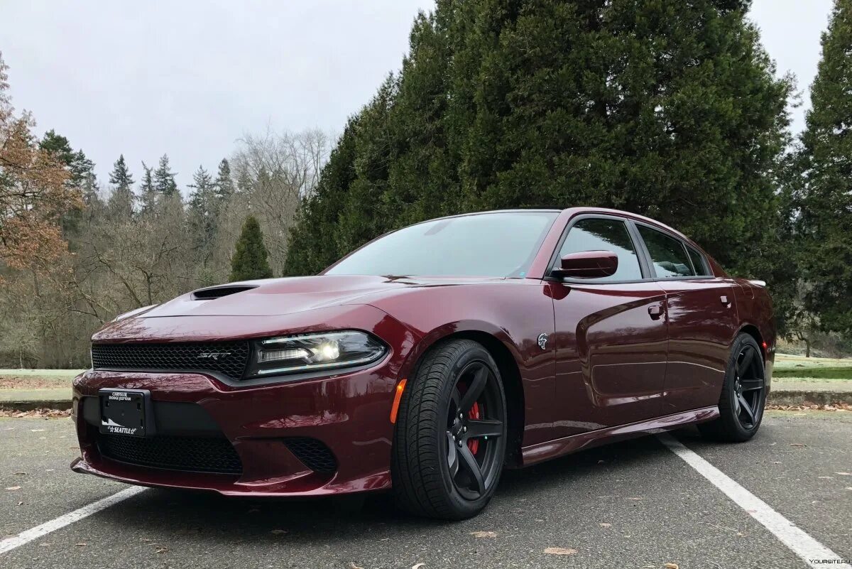 Додж рт. Dodge charger srt hellcat. додж чарджер 2017. додж чарджер 2025. dodge charger hellcat.