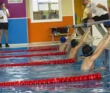 Спортивно оздоровительный комплекс олимп. Спорткомплекс Олимп Кедровка. Спорткомплекс Олимп Новожилкино. Водноспортивный комплекс. Олимп Крыловская спорткомплекс.