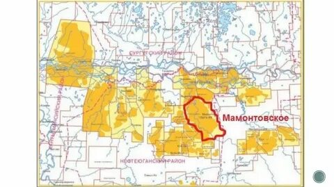 мамонтовское нефтяное месторождение