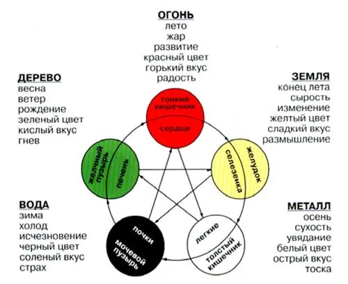 5 элементов человека. Китайская система Усин. Система у син 5 элементов. Теория у син пяти элементов. Теория у-син пять первоэлементов.
