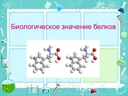 Значение белков в составе клетки