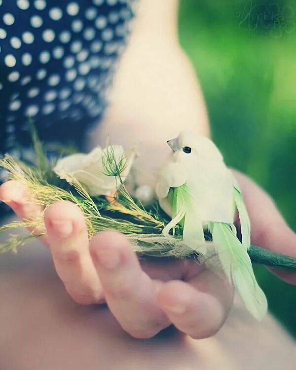 Руки цвета весны. Нежные птицы. Девушка с птичкой. Нежная птичка. Птичка на руке.