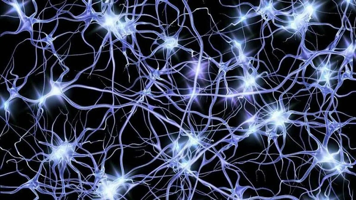 Нейросеть картинки. Нейрон нейросети. Нейронная сеть головного мозга. Нейрон в искусственной нейронной сети это. Нейронные связи в мозге.