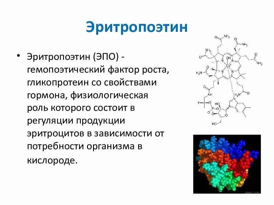 Эритропоэтин структура биохимия. Химическая природа и роль эритропоэтина. Эритропоэтин секретируется в. Эритропоэтин эффекты. Фактор роста гормон