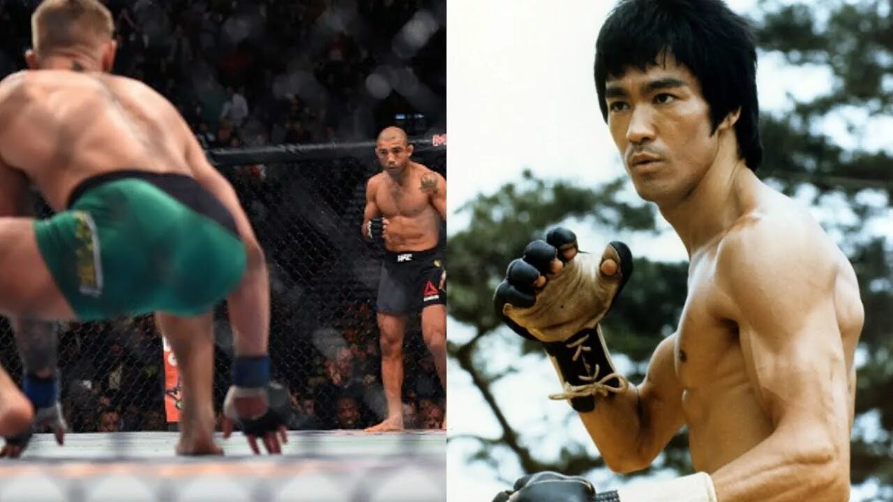 Fastest punch