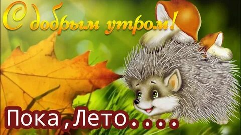 Пока лета