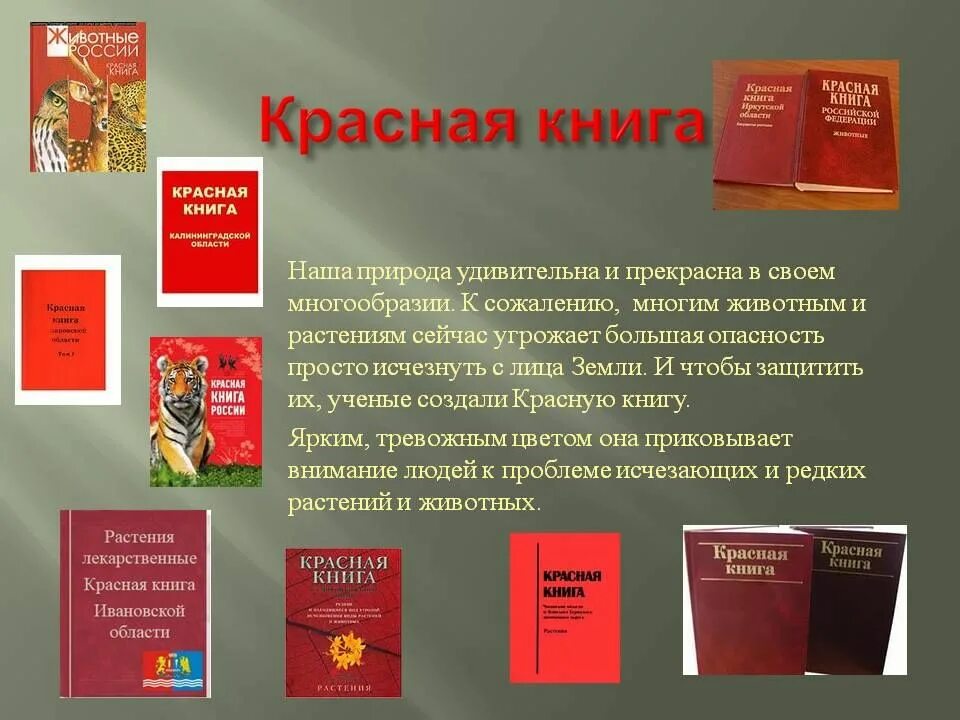 Красная книга о том. Красная книга. Международная красная книга. Красная книга России. Красная книга презентация.