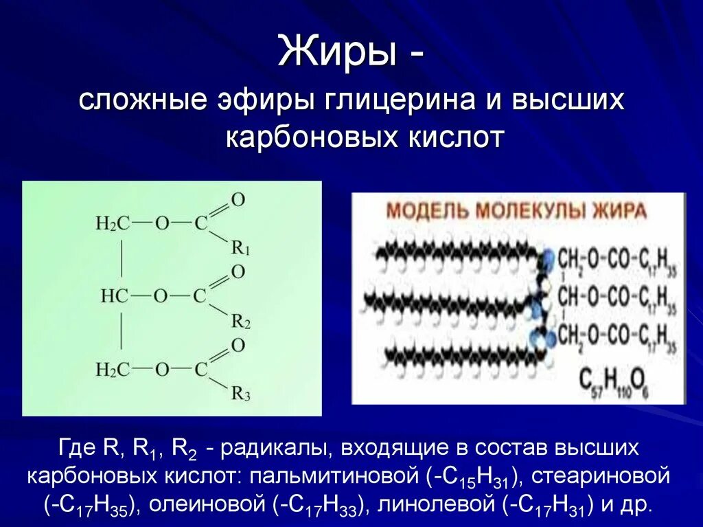 10 формул эфира. Строение сложных эфиров и жиров. Строение молекулы сложных эфиров и жиров. Сложные эфиры глицерина и высших карбоновых кислот. Сложные эфиры жиры строение.