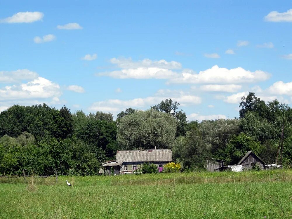посёлок жёча. воронка военная. станция помошная кировоградская область. жеча брянская область станция. жеча брянская область станция.