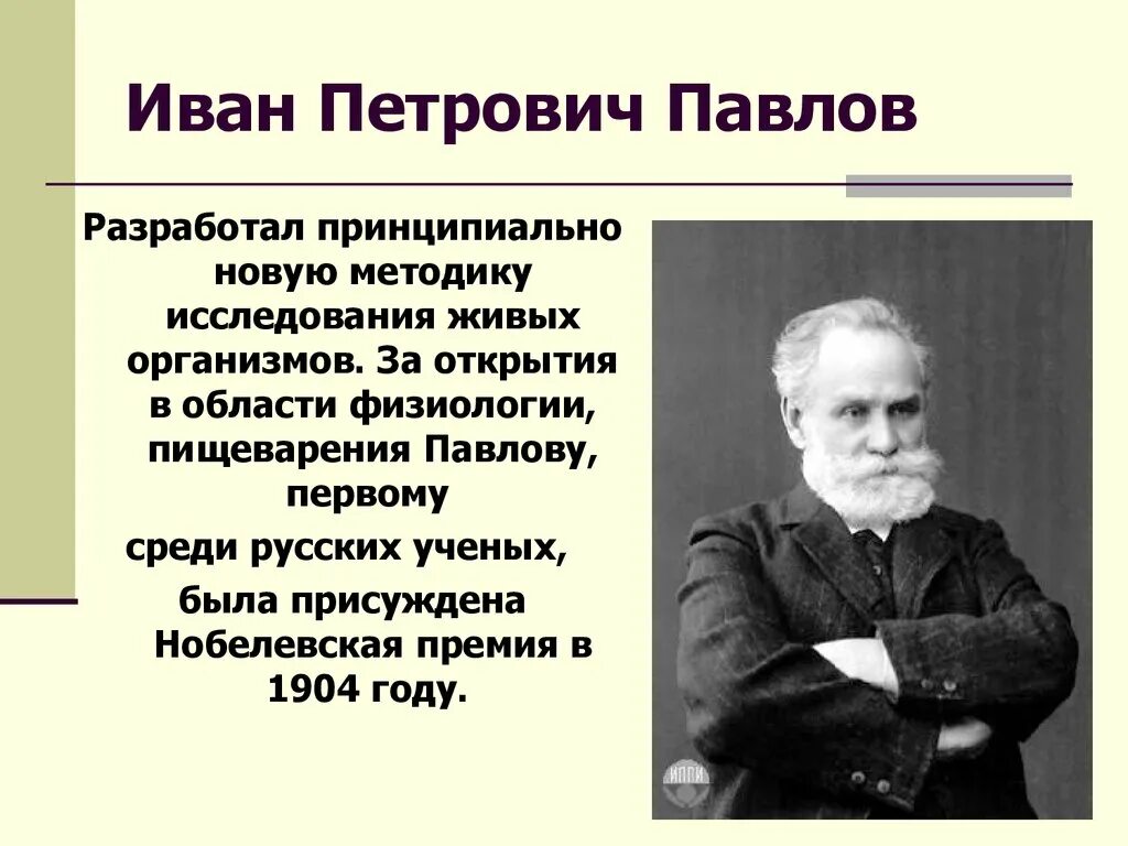 Учёные 19 века в России. Ученые 20 века в России.