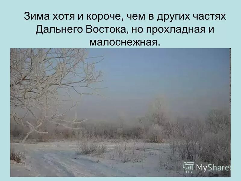 Жаркое лето и холодная малоснежная зима. Жаркое лето и малоснежная зима это природная зона. Зима здесь короткая малоснежная. Зима короткая малоснежная довольно мягкая. Теплое продолжительное лето мягкая зима повышенная влажность