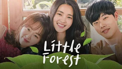 Little forest
