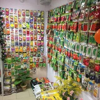 Тверь магазин сайт каталог