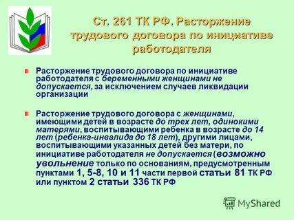 261 статья трудового кодекса